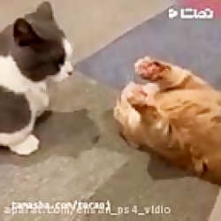 جواد خواجوی - زندگی همین چند ث...