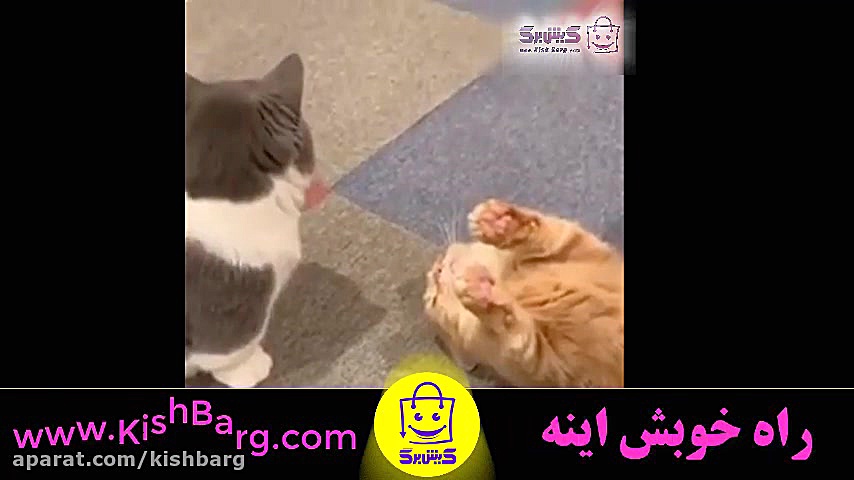 پوستر بزرگ