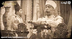 طنز دیش و میش // سگ هایی که ما...