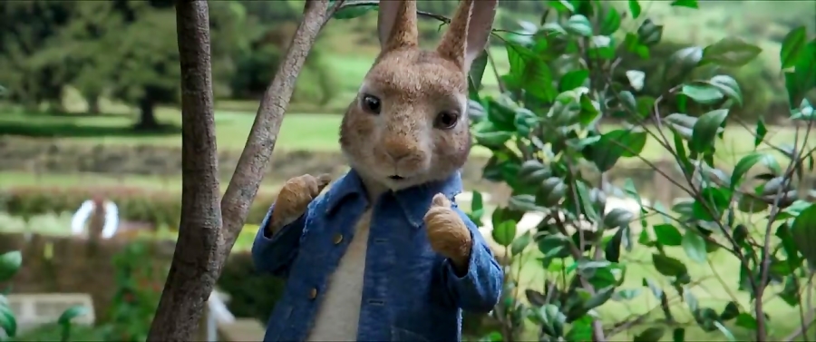 انیمیشن(نبرد خرگوش ها)Peter Rabbit 2018دوبله فارسی زمان5682ثانیه