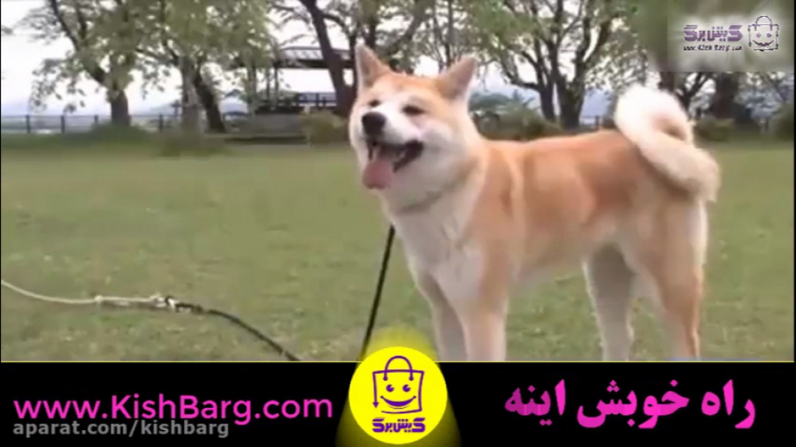 پوستر بزرگ