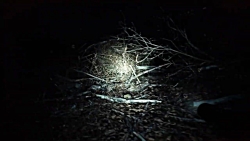 گیم پلی بازی ترسناک و مهیج BLA...