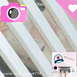 مرنینگ روتین و ولـآگ تـفـــلــ...