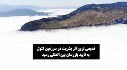 جنگل های هیرکانی/   حذف کبودوال از یونسکو "ممنوع"