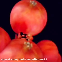 ویدیوی شاد وطنز شب یلدا.