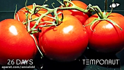 تایم لپس گوجه فرنگی