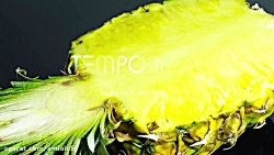 تایم لپس آناناس