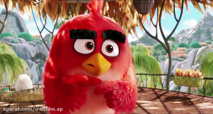 انیمیشن پرندگان خشمگین 1 2016(The Angry birds 1 2016) دوبله فارسی زمان5833ثانیه