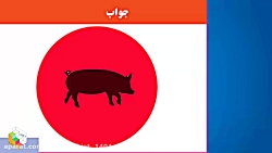 ۱۶ تست جالب چشم و هوش