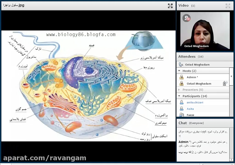 کلاس آنلاین نوروسایکولوژی (فیز...