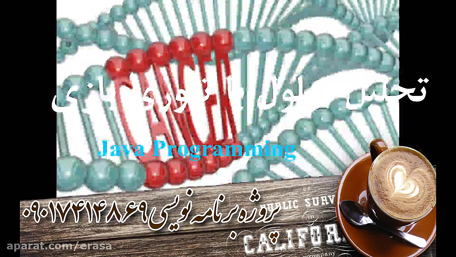 انیمیشن تحلیل ریزآرایه سلول با تئوری بازی در بیان ژن (enahang.ir) پزشکی میکروRNA