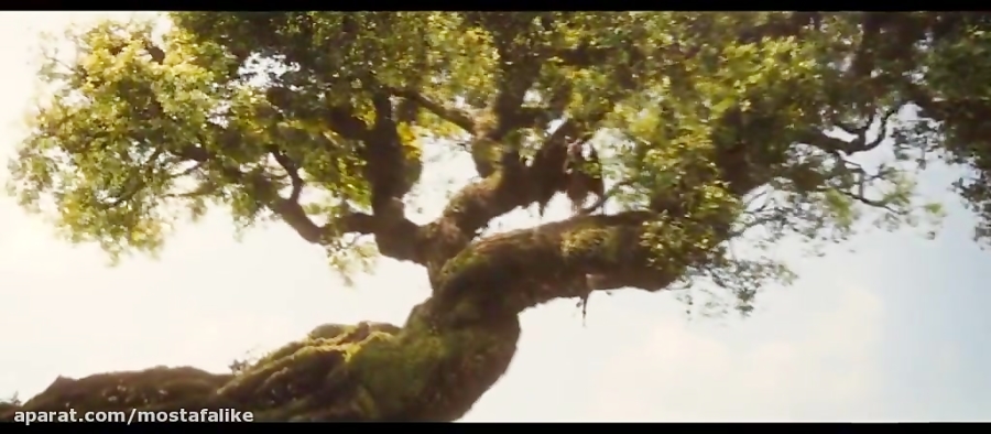 فیلم اکشن مالفیسنت با دوبله فارسی– Maleficent 2014 زمان5468ثانیه