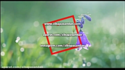 حافظ شیرازی  غزل شماره 15