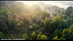 حافظ شیرازی - غزل شماره 20