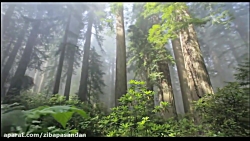 حافظ شیرازی - غزل شماره 48