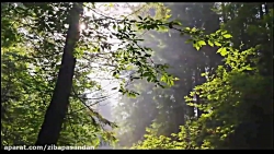 حافظ شیرازی  غزل شماره 51