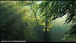 حافظ شیرازی - غزل شماره 62