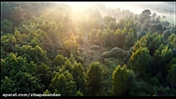 حافظ شیرازی  غزل شماره 95
