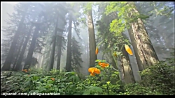 حافظ شیرازی  غزل شماره 108