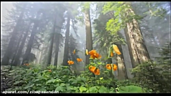 حافظ شیرازی  غزل شماره 138