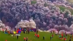 جاذبه های گردشگری بی نظیر کشور...