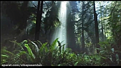 حافظ شیرازی  غزل شماره 159