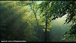 حافظ شیرازی  غزل شماره 165