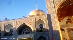 حال و هوای حرم امام رضا