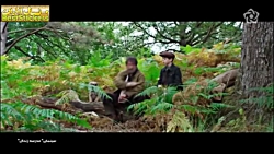 فیلم سینمایی مدرسه زندگی