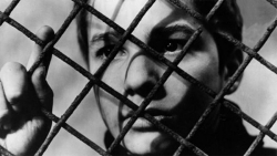 فیلم چهارصد ضربه The 400 Blows...