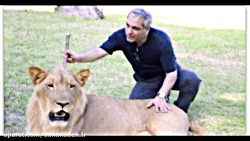 وقتی مهران مدیری با شیر و سگ و...