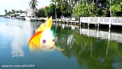 بازی دیانا و روما... ماهی طلای...