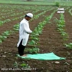 کلیپ دیدنی نماز اول وقت