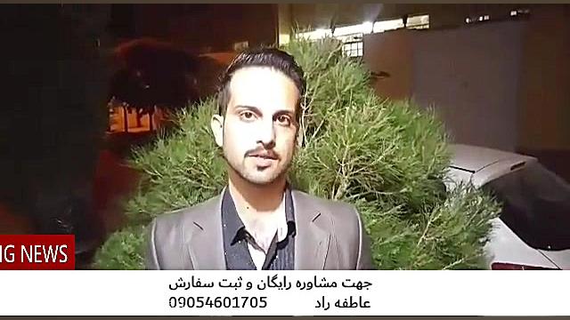 درمان قطعی زخم معده هایفوتراپی