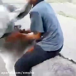 حال وهوای این روزای ترامپ ملعو...