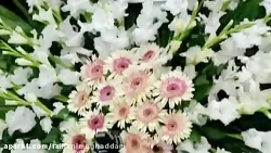 اولین مصاحبه تلویزیونی فرزند س...