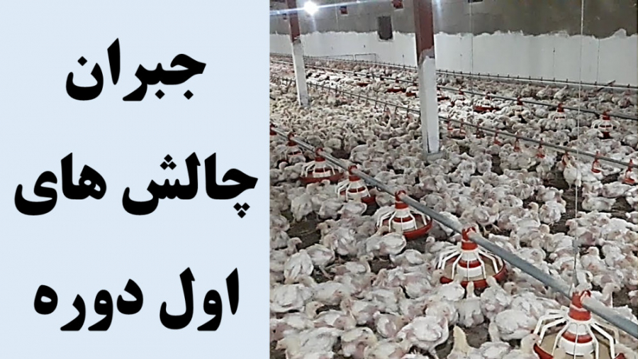 شرایط ایده آل سالنی که قبلا مشکلات زیادی داشت دکتر محمد مهدی عبدالهی (دامپزشک)