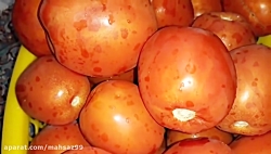 آموزش ترشی سالاد مشهدی یا ترشی...