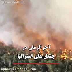 آتش سوزی در استرالیا و 500 میل...