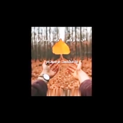 #تکست_گرافی آهنگ قلب دیوار از...