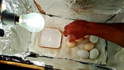 اموزش ساخت ماشین جوجه کشی با ک...