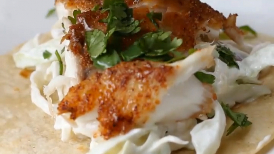 آشپزی سالم - تاکو ماهی - کلینیک لاغری سیبیتا