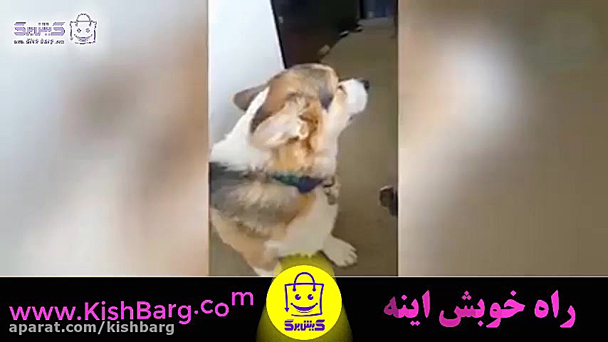 پوستر بزرگ