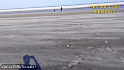 پر بازدید ترین ویدیو های یوتیو...