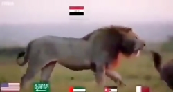 حمله داعش به عراق و ورود ایران...