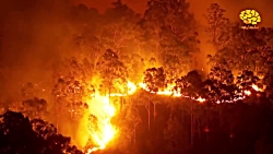 آتش سوزی استرالیا: جهنم روی زم...