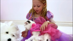 ناستیا-استیسی پرنسس خانم و گرب...