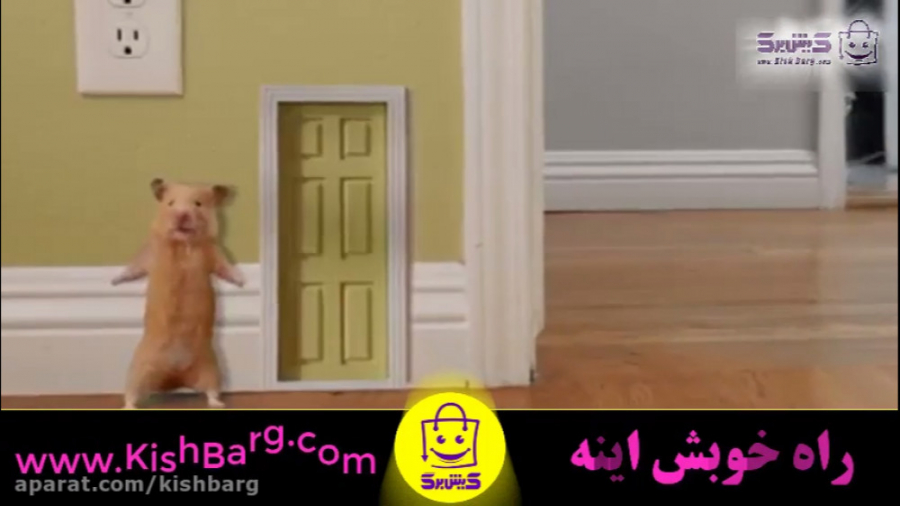 پوستر بزرگ