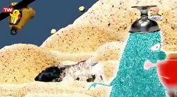 شن دونه ها  جزیره