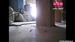 وحشت از مرگ و التماس سربازان آ...